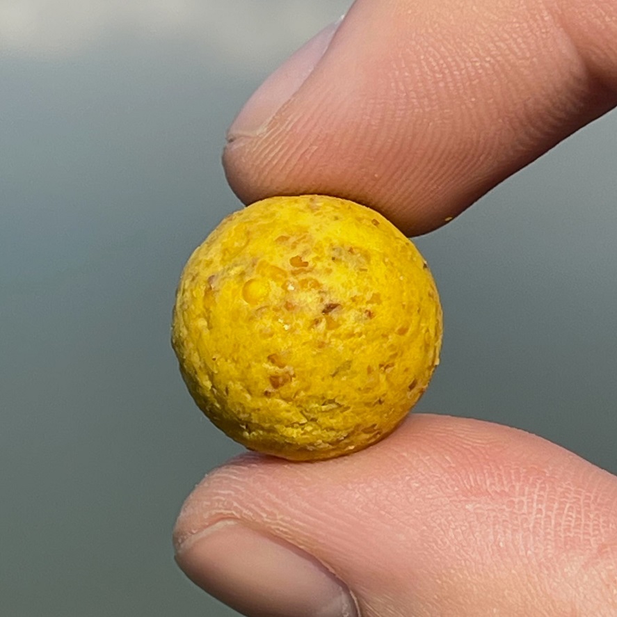 Boilies na kapry z kukurice: tromf od Karla Nikla