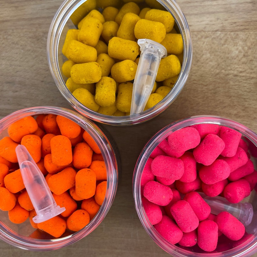 Úspešný lov kapra v studenej vode: tip na nástrahu