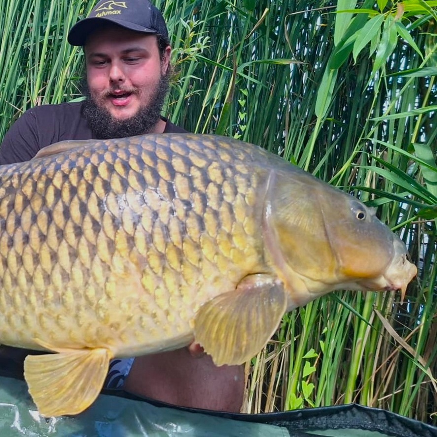 Jednoduchá montáž na kapry na boilies: ako na to