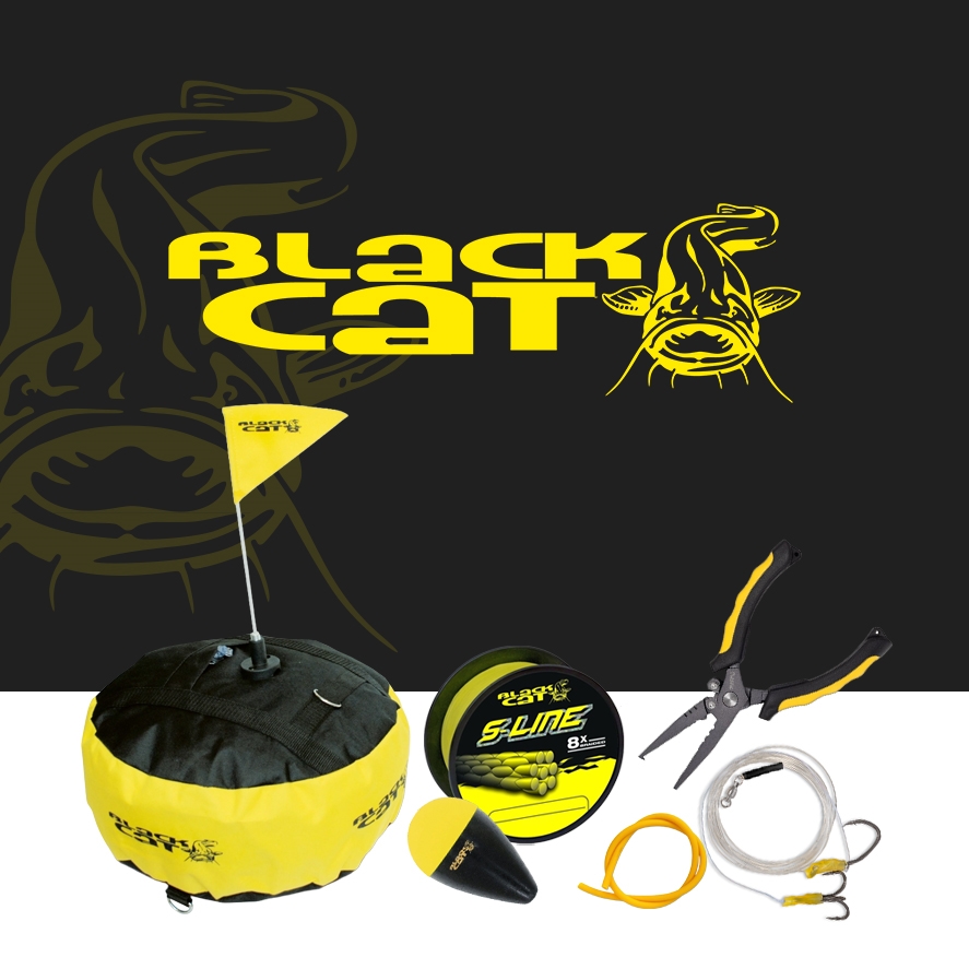 BLACK CAT