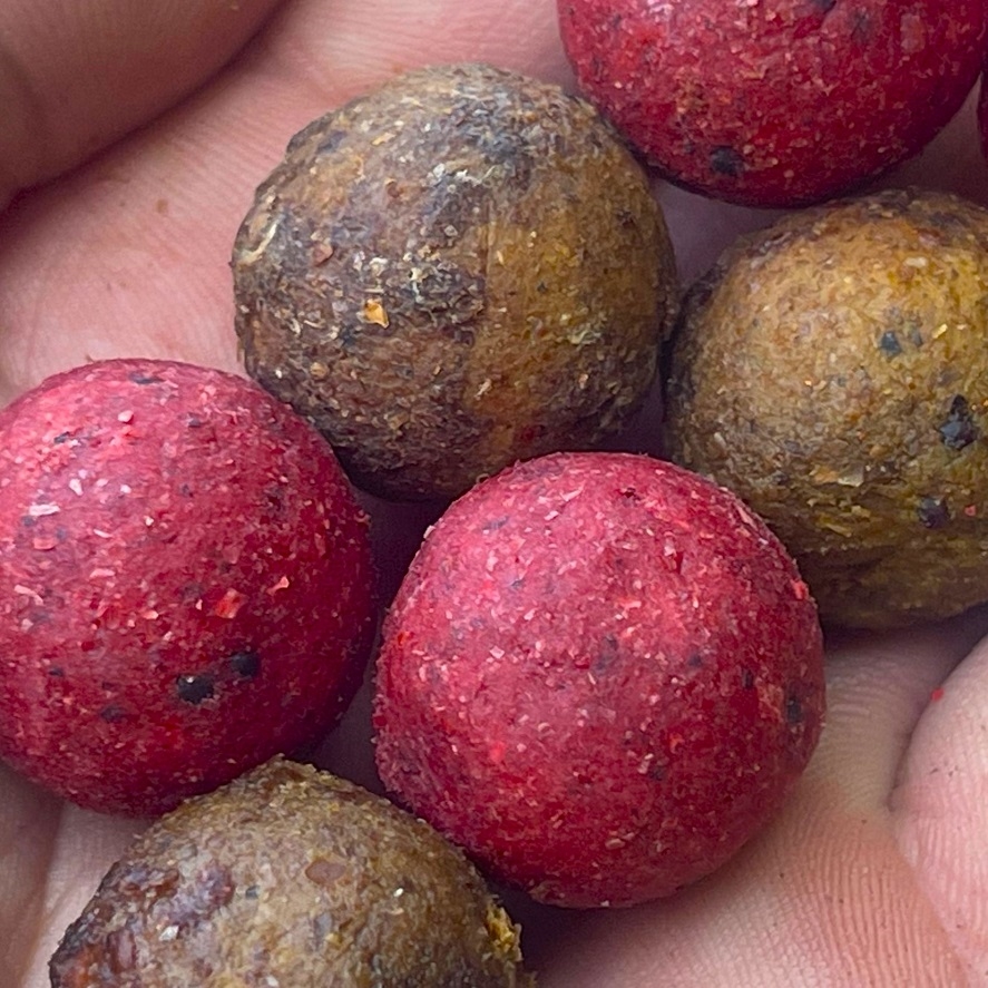 Boilies na kapry: ako vybrať boilies? Tu je zamyslenie