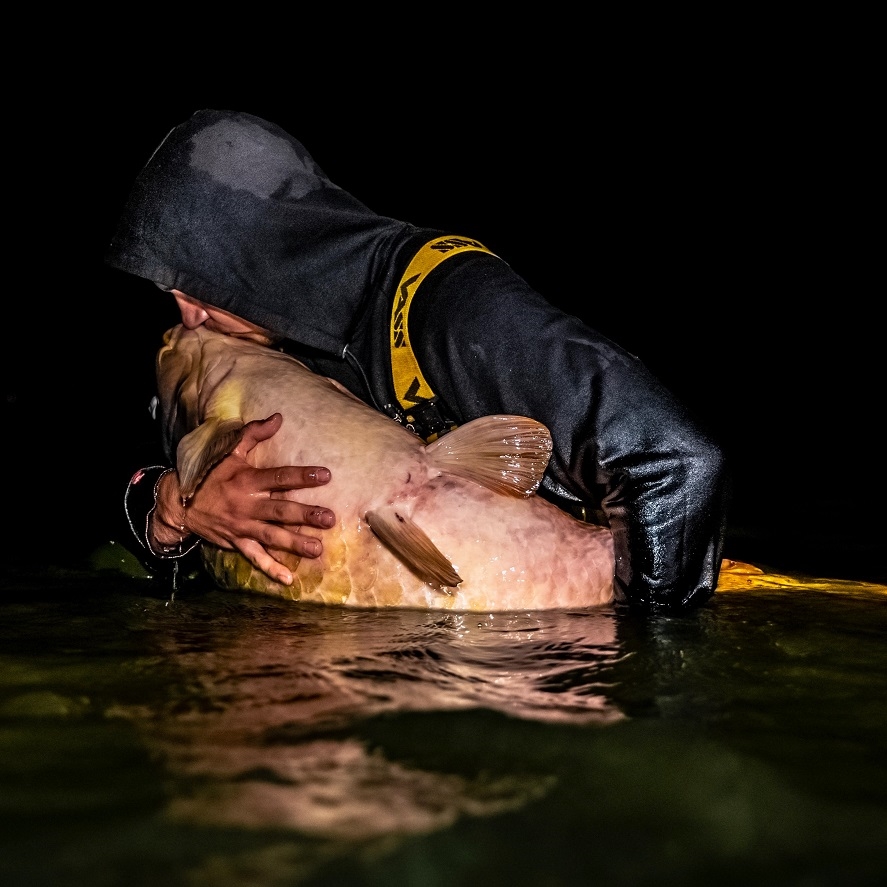 Boilies na giga kapre Eko Baits: novo na Fishmax