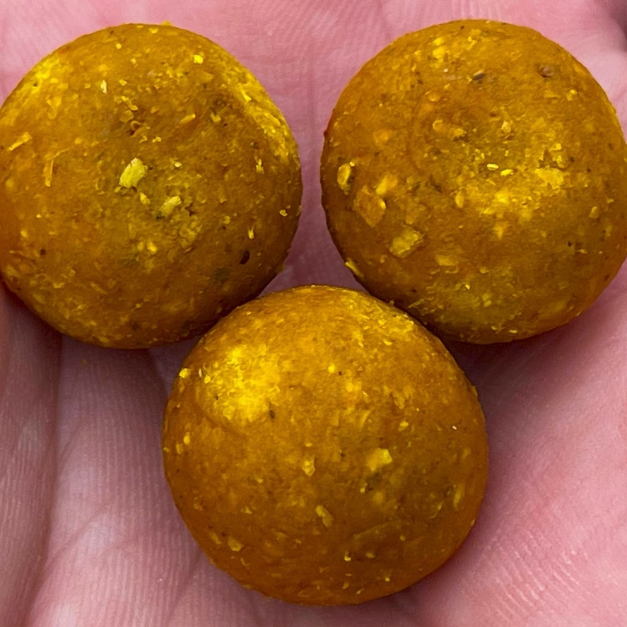 Boilies „plné medu“: tradičná príchuť nesklame