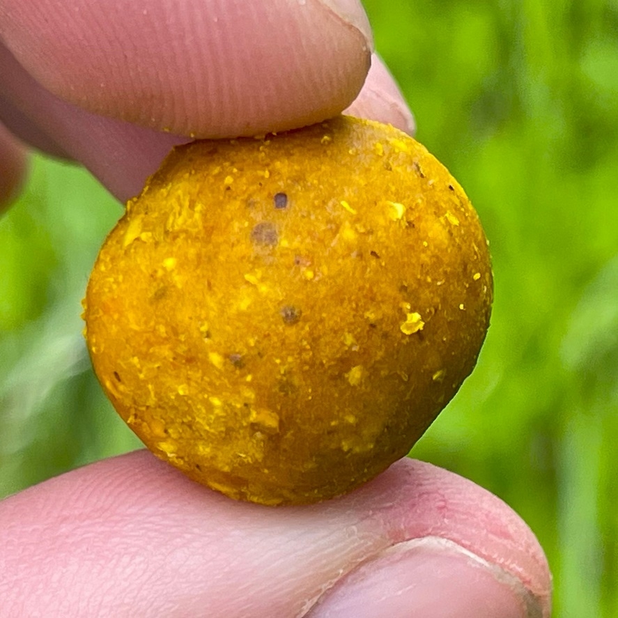 Sladké boilies na letné kapry: silná vôňa medu