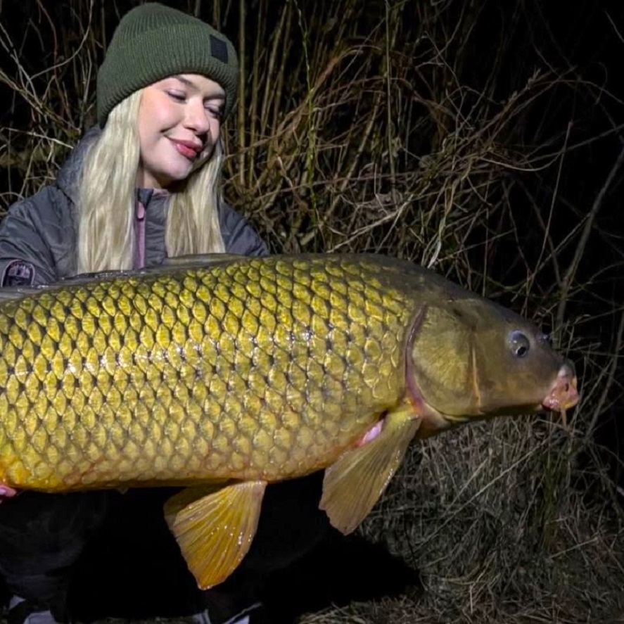 Boilies na kapry lacno: nové boilies za nízku cenu