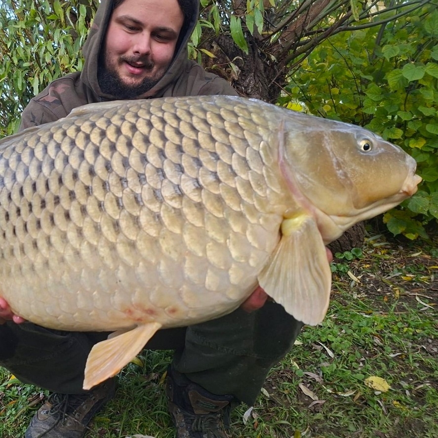 Najlepšie boilies na jeseň za nízku cenu
