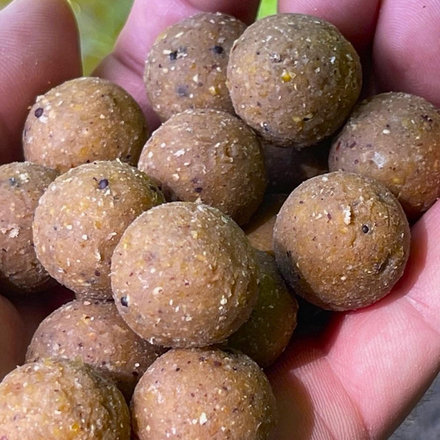 Boilies Shimano z tigriich orechov: unikátna vôňa orieškov