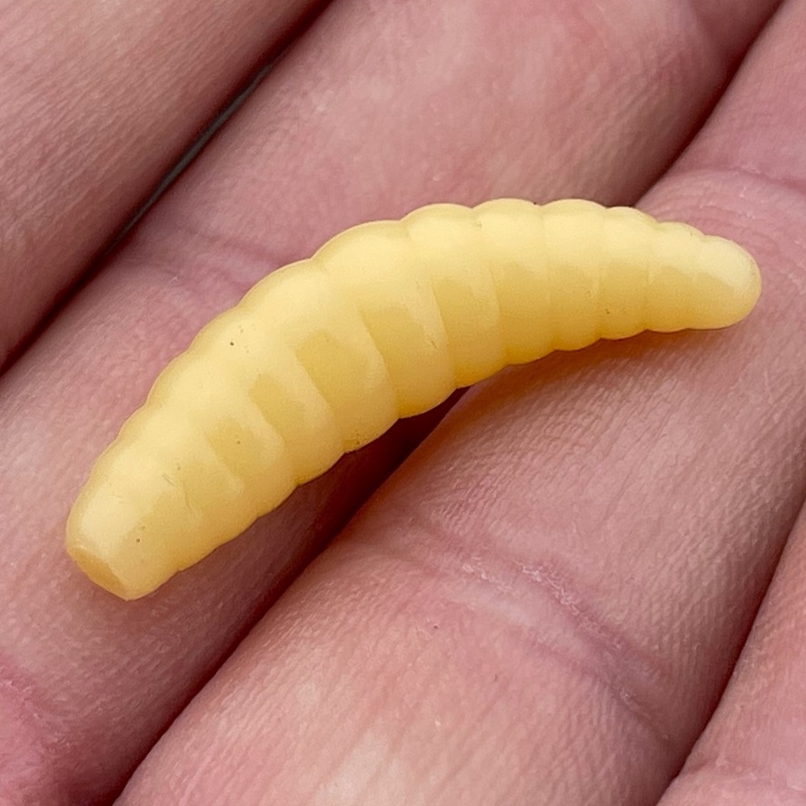 Gumy na pstruhy: gumové larvy sľubujú úspech