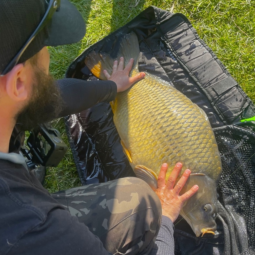 Lov veľkých kaprov na method feeder: ako na to
