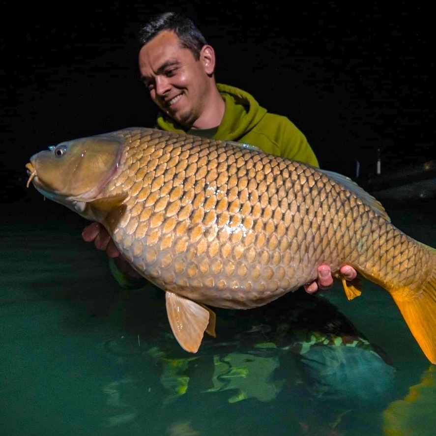 Kvalitné kŕmne boilies: vydržia vo vode dlhšiu dobu