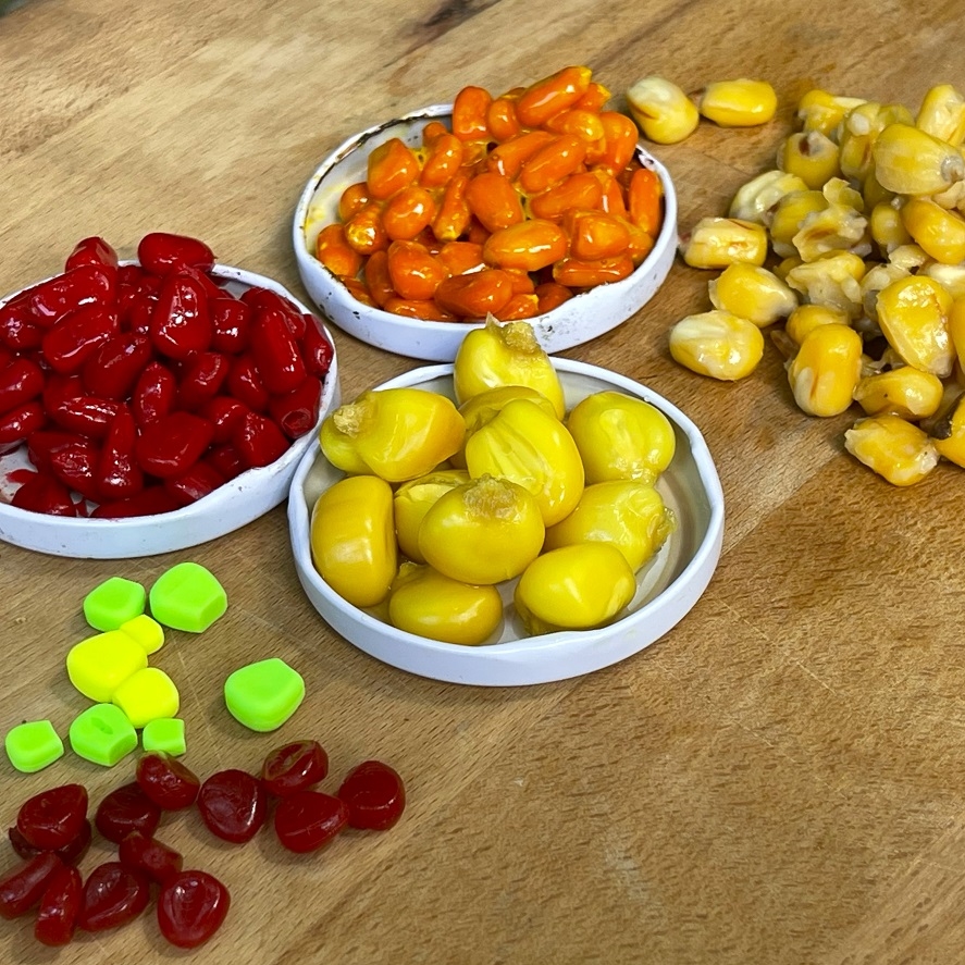 Kukurica na ryby: táto kukurica sľubuje najviac záberov