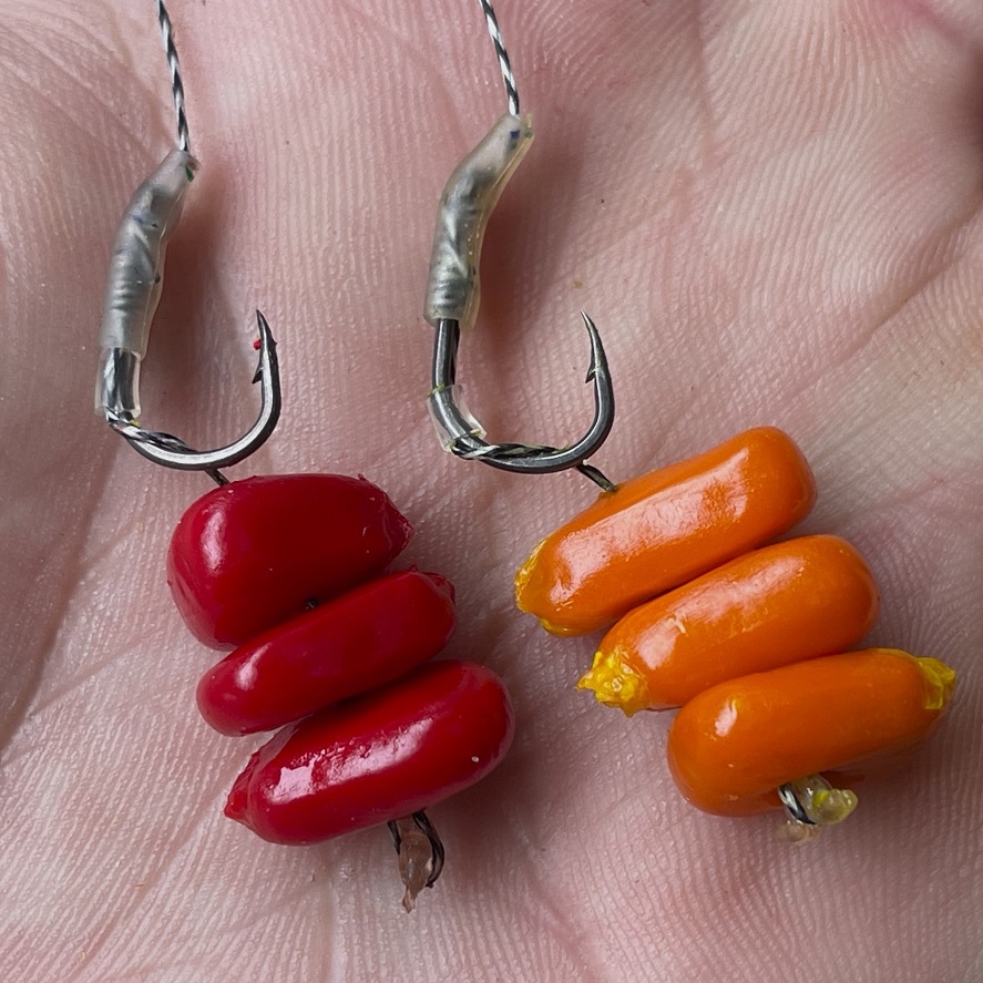 Kukurica na amury: ako používať kukuricu na amury