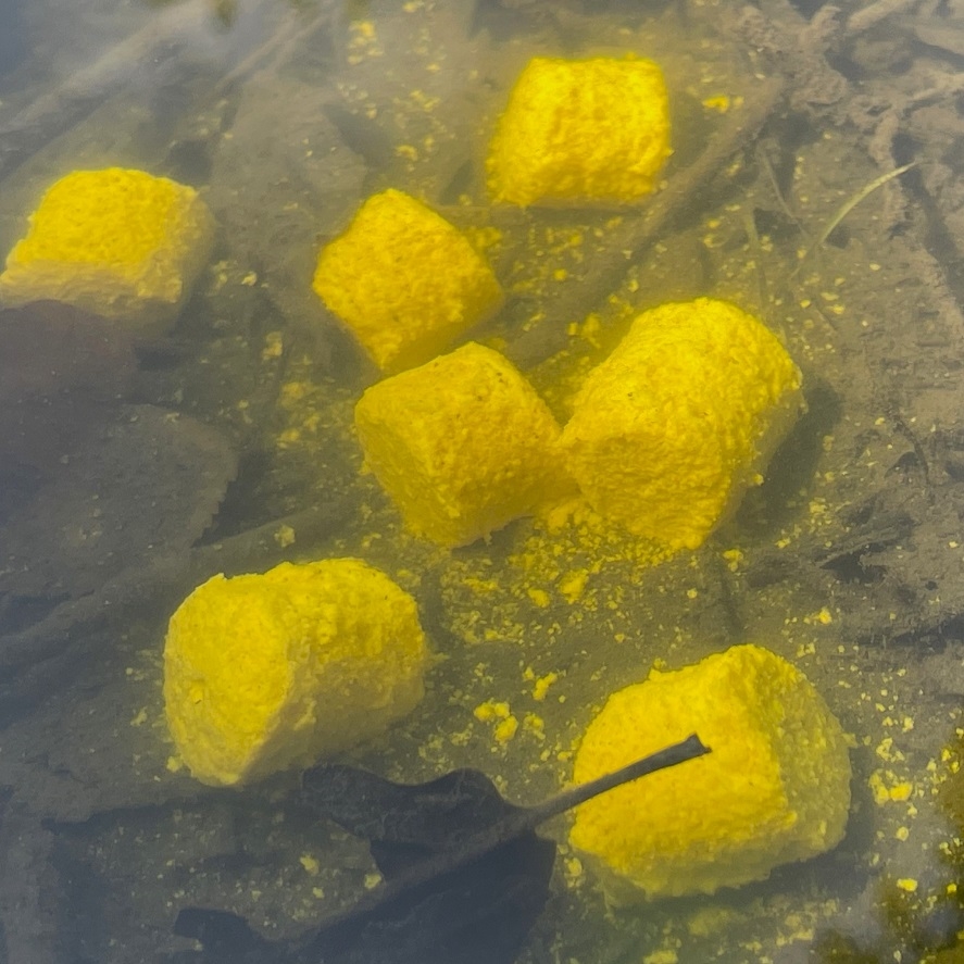 Pelety z kukurice: sú lepšie ako tradičné kukurice