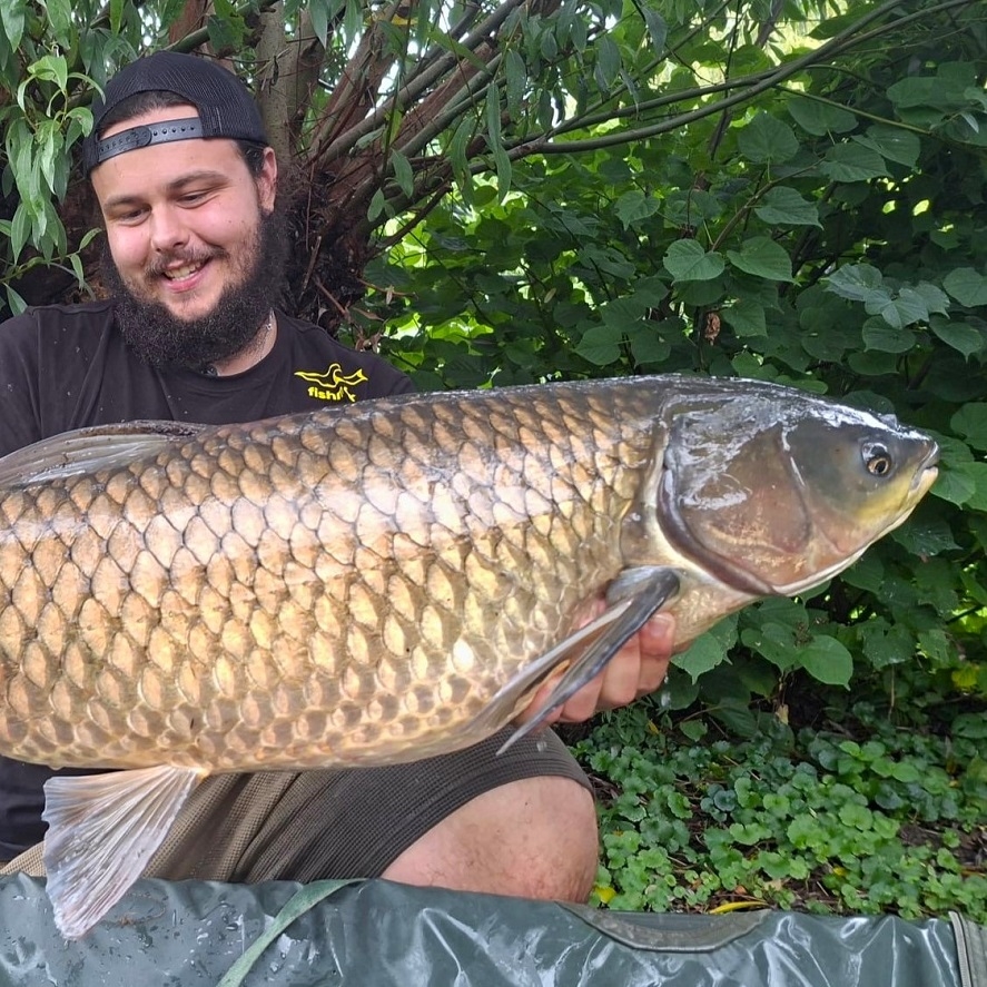 Účinný lov amura z hladiny: skúste tento trik