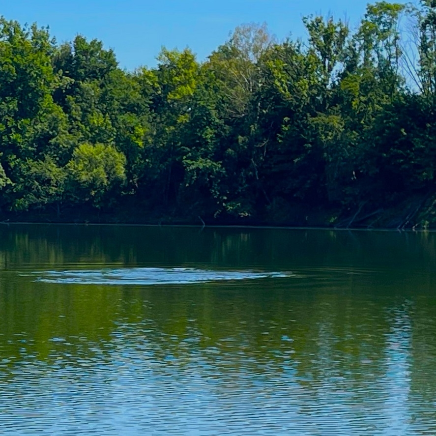 Aké zvuky najviac plašia ryby? Zamyslenie rybárov