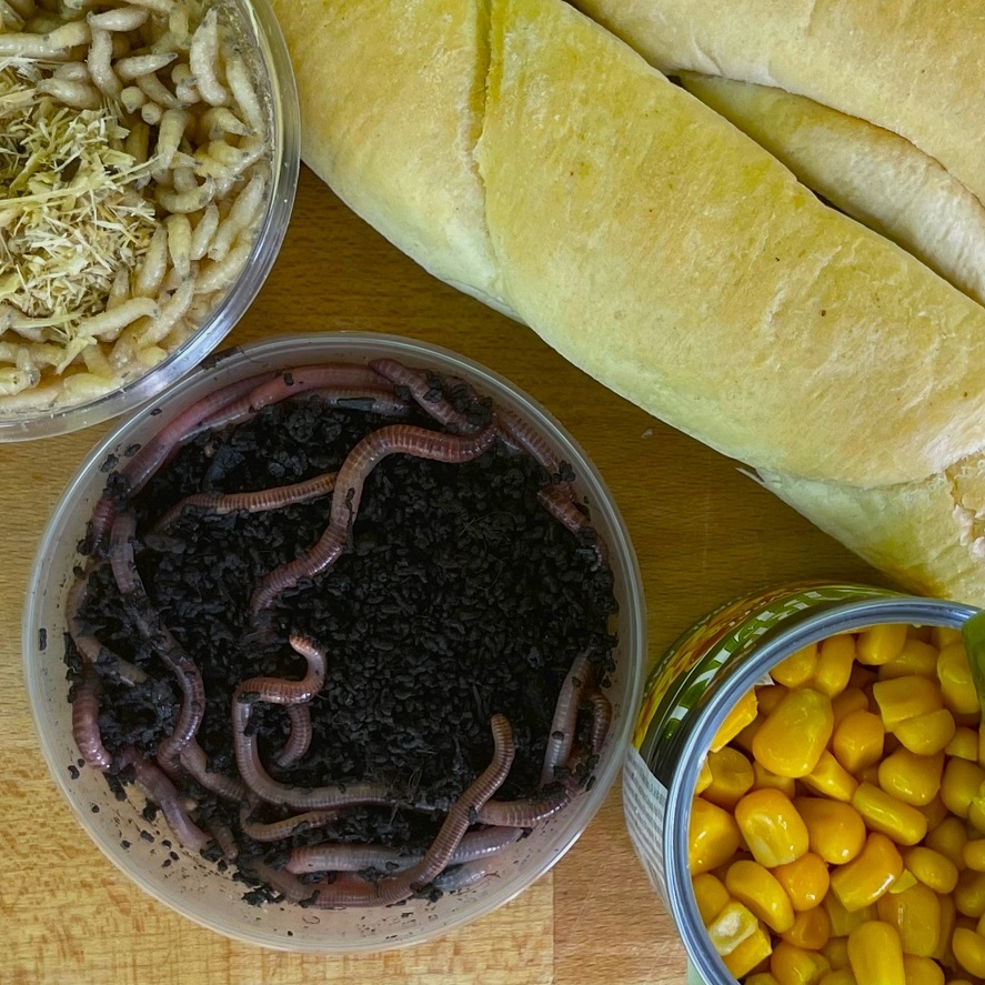 Rybárčenie na plavák: tradičné nástrahy na plávanú