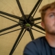 AVID - Brolly Revolve 60&#39;&#39; System