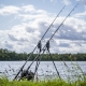 AVID - Hrazda Lok Down 2 Rod Buzz Pod 8&#39;&#39;