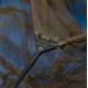 AVID - Podberák Breach 3-6-9 Landing Net 42" 3 dielny