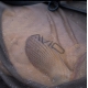 AVID - Sak Revolve Floatation Sling XL