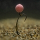 AVID - Stoper Super Grip Hook Beads 40 ks