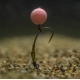 AVID - Stoper Super Grip Hook Beads 40 ks