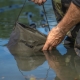 AVID - Vedierko na vodu PRO-Tect Water Bucket