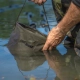 AVID - Vedierko na vodu PRO-Tect Water Bucket