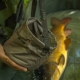 AVID - Vedierko na vodu PRO-Tect Water Bucket