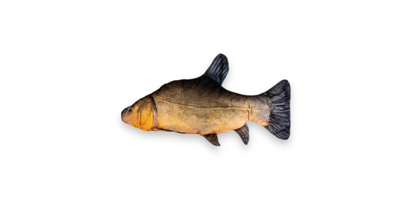 BECARE - Vankúš Lín XL