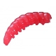 BERKLEY - Gumová nástraha osia larva Powerbait Honey Worm 2,5 cm Červená 55 ks