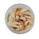 BERKLEY - Gumová nástraha PowerBait Honey Worms 2,5 cm 55 ks Natural