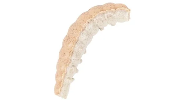 BERKLEY - Osia larva PowerBait Honey Worm 2,5 cm 55 ks Oranžová perleť