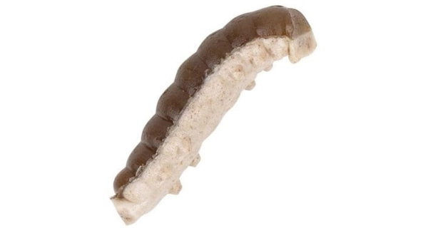 BERKLEY - Osia larva PowerBait Honey Worm 2,5 cm 55 ks Šedá perleť