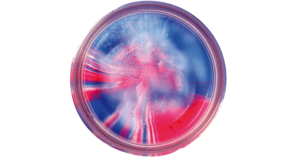 BERKLEY - Pstruhové cesto PowerBait Extra Scent 50 g Captain America
