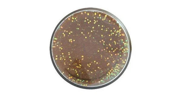 BERKLEY - Pstruhové cesto PowerBait Trout Bait Natural Glitter 50 g Fish Pellet