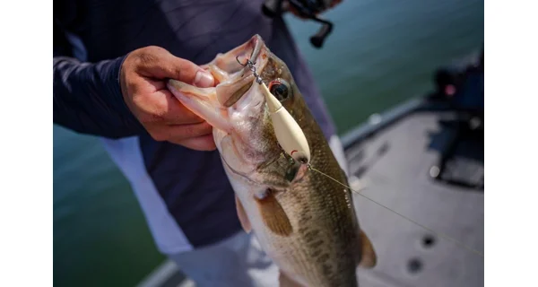 BERKLEY - Wobler Choppo Floating 7,5 cm 13 g MF Shad