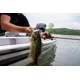 BERKLEY - Wobler Choppo Floating 7,5 cm 13 g MF Shad