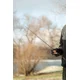 BLACK CAT - Prút Battle Cat Elite Vertical 1,9 m 240 g