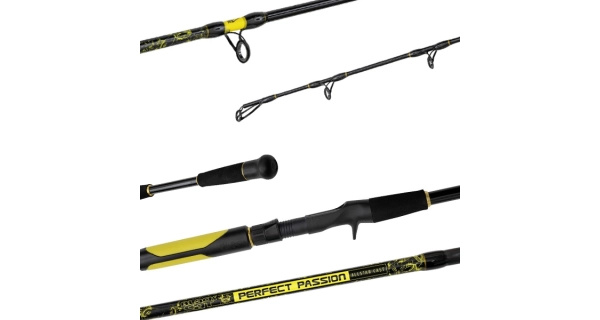 BLACK CAT - Prút Perfect Passion Allstar Cast 2,2 m 30-130 g