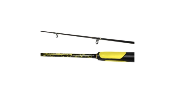 BLACK CAT - Prút Perfect Passion Boat Spin 2,4 m 50-190 g