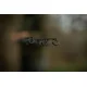 BLACK CAT - Prút Perfect Passion X Bank 2,8 m 600 g 2 diely