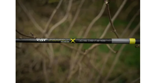 BLACK CAT - Prút Perfect Passion X Casting 2,2 m 150 g 2 diely