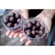 CARP INFERNO - Balanced boilies 20 mm 200 ml Chaos