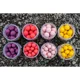 CARP INFERNO - Boilies Balanced 20 mm 150 ml Losos Mango