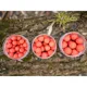 CARP INFERNO - Boilies Balanced 20 mm 200 ml Xtazi