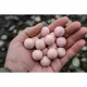 CARP INFERNO - Boilies Nutra Line 20 mm 250 g Losos Mango