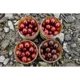 CARP INFERNO - Boosted boilies Hot Line 20 mm 300 ml Medúza