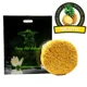 CARP OLD SCHOOL - Kukurica 5 kg Pineapple