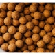 CARP-ONLY - Boilies Hookbait Frenetic ALT 20 mm 1 kg Monster Crab